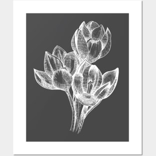 Ink - Crocus Variation 2 Posters and Art